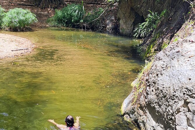 2 Hours Trekking Waterfall Tour in Tobago - A rainforest outing with a clear payoff