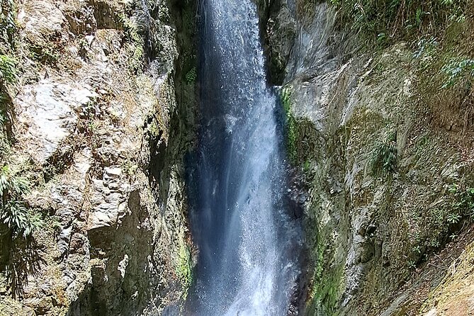 2 Hours Trekking Waterfall Tour in Tobago - What the guide adds to the experience