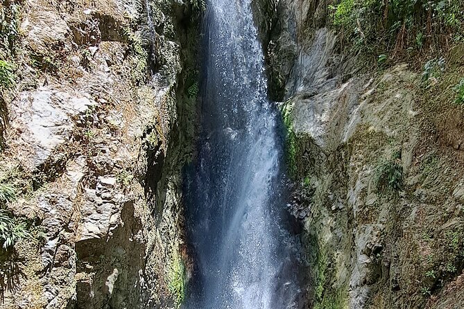 2 Hours Trekking Waterfall Tour in Tobago - What the $156.93 price really covers