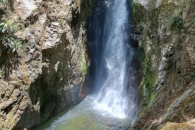 2 Hours Trekking Waterfall Tour in Tobago - Who will enjoy this Tobago hike most