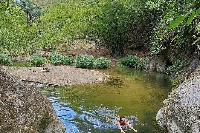 2 Hours Trekking Waterfall Tour in Tobago - Timing, meeting point, and practical planning