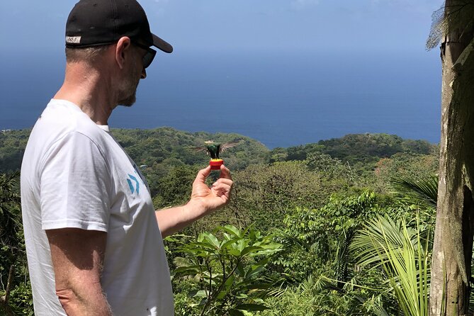 3 Hours Rainforest Walk in Tobago (Private) Lunch + Hummingbirds - Reaching the Main Ridge from your accommodation