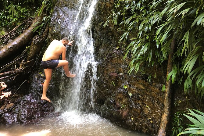 3 Hours Rainforest Walk in Tobago (Private) Lunch + Hummingbirds - Entering the world’s oldest protected rainforest