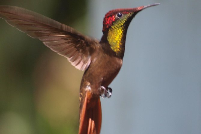Argyle Waterfall with Adventure Farm - Why this pairing works so well in Tobago