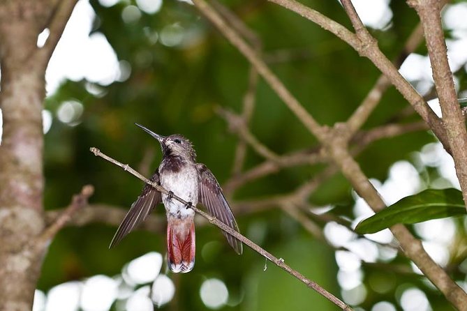 Argyle Waterfall with Adventure Farm - Is $120 a fair price?