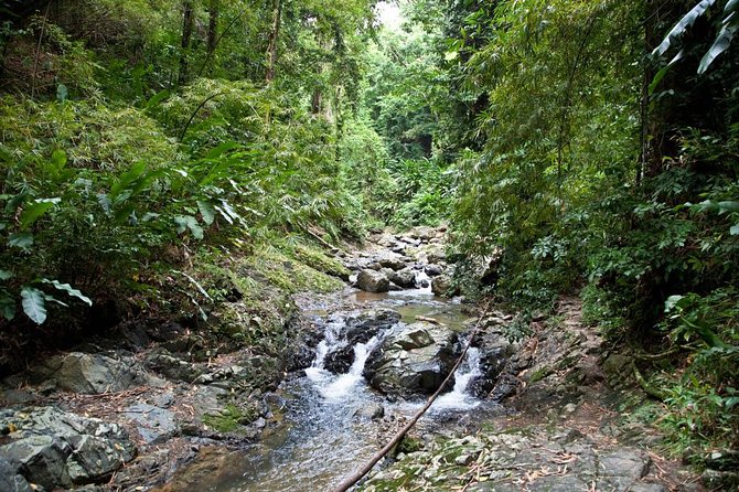 Argyle Waterfall with Adventure Farm - Walking the 20-minute forest trail to Argyle Waterfall
