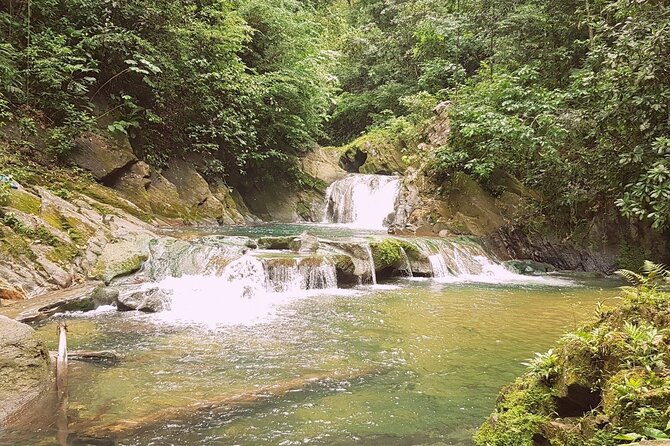 Aripo Waterfall Adventure - Key points to know before you go