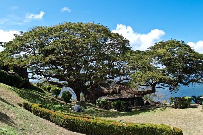 Around the Island - What this Tobago tour is really designed to do