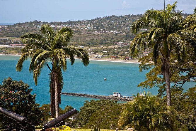 Around the Island - The guide can shape the whole day