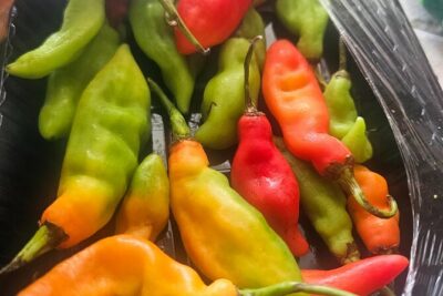 Authentic Trinidadian Cooking Class in Port of Spain