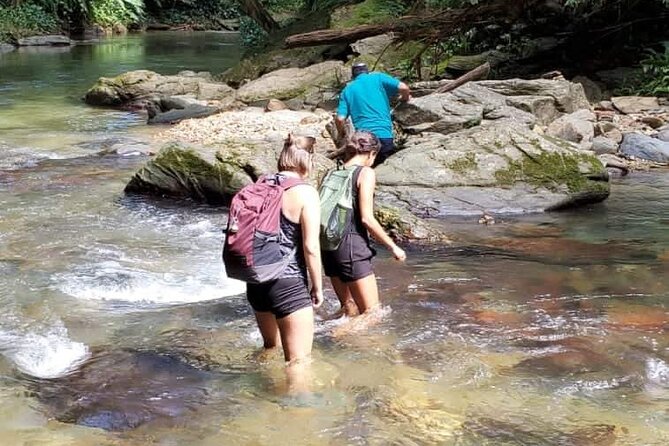Avocat Waterfall and Beach Tour - Key points at a glance