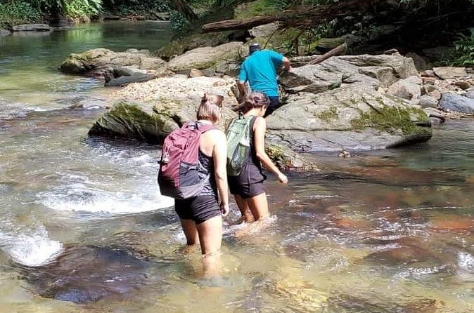 Avocat Waterfall and Beach Tour - What the $105.39 price gets you