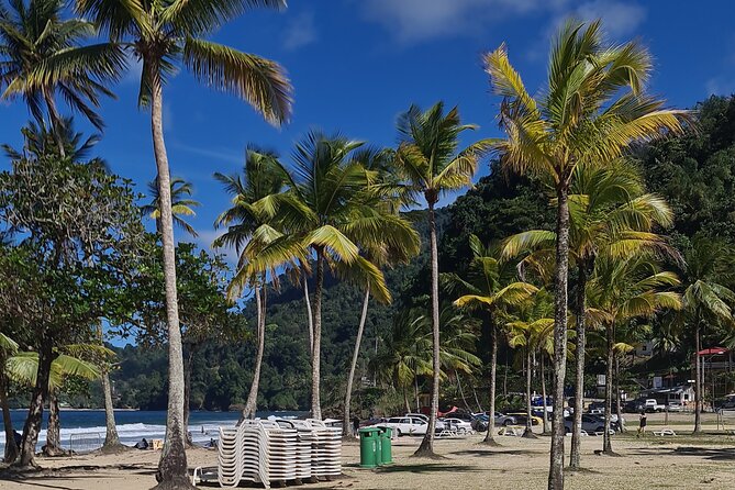 Avocat Waterfall Tour & Beach Stop Adventure - Maracas Bay and the bake and shark stop