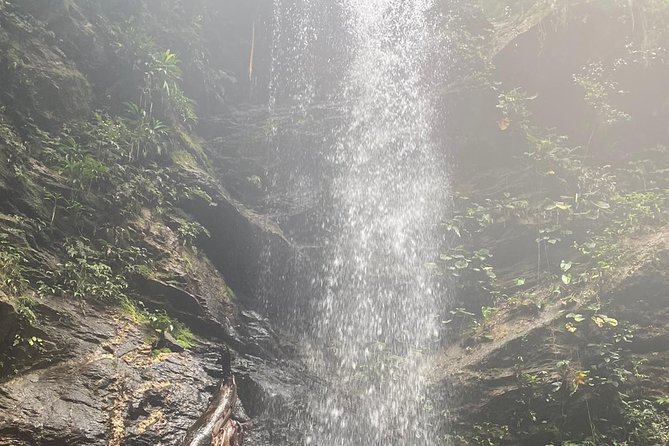 Avocat Waterfall Tour & Beach Stop Package - Maracas Beach and the bake and shark stop