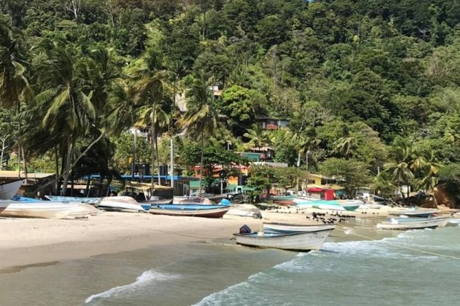 Avocat Waterfall Tour & Beach Stop Package - Avocat Waterfall and the swimming pool