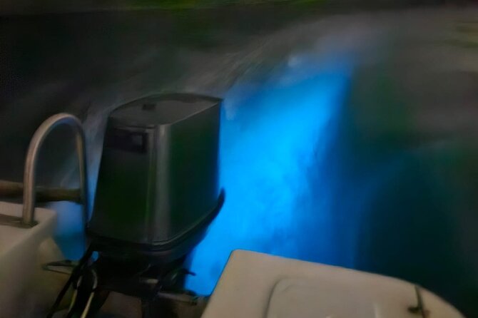 Bioluminescence Tour - Is $170 per person a fair price?
