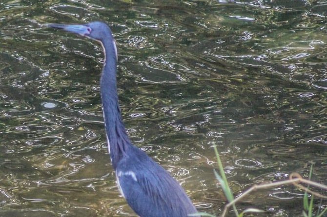 Bird Watching Tours - Why a Small Group Matters