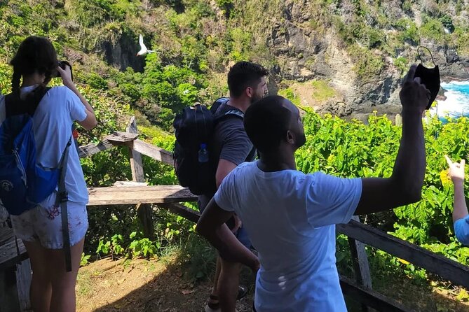 Birdwatching, Waterfall, Rainforest and Island Nature Tours - Adding Argyle Waterfall to your day
