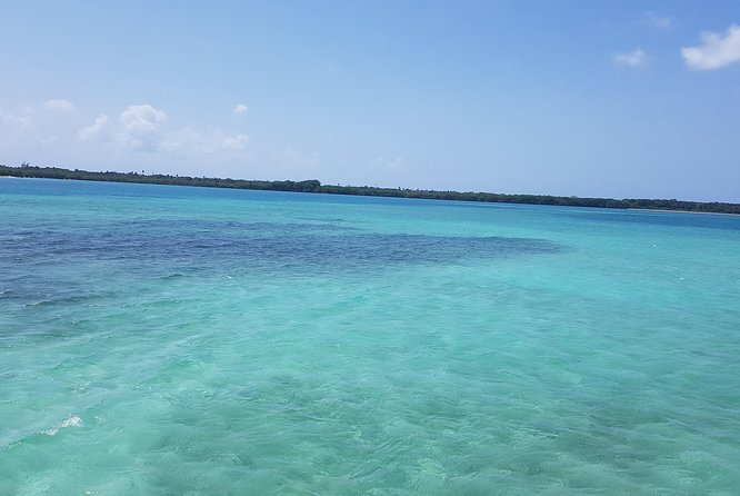 Blue Mango Hole (Healing Hole) - Why Blue Mango Hole is different from a standard Tobago swim