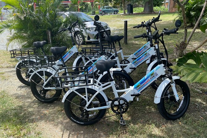 Breeze Through Tobago on an E-bike - Who will enjoy this ride most
