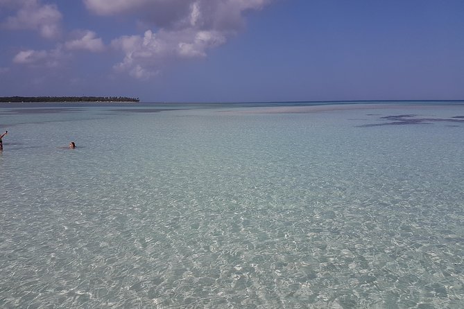 Buccoo Reef and Nylon Pool Adventure - Key points to know before booking