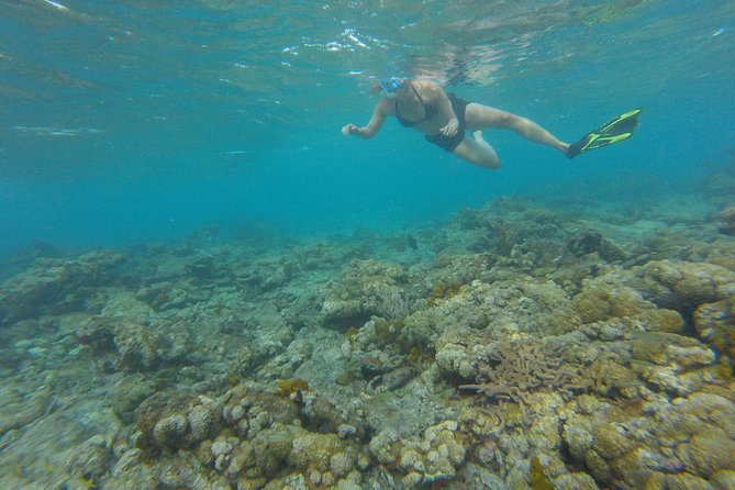 Buccoo Reef and Nylon Pool Adventure - Nylon Pool offers Tobago’s gentlest water stop