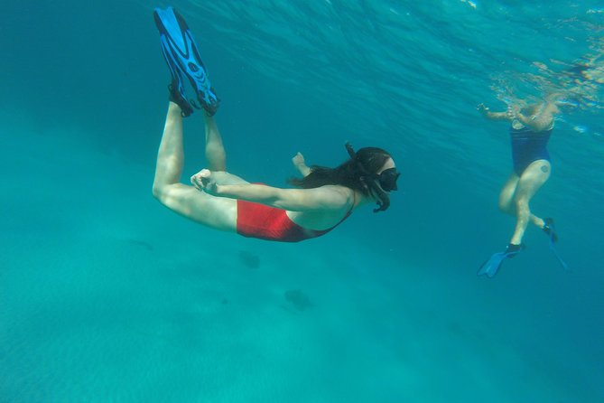 Buccoo Reef and Nylon Pool Adventure - Guides can make a short tour feel personal