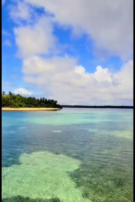 Buccoo Reef Nylon Pool Tour - Captain Phillips - Who should book Captain Phillips Tours?