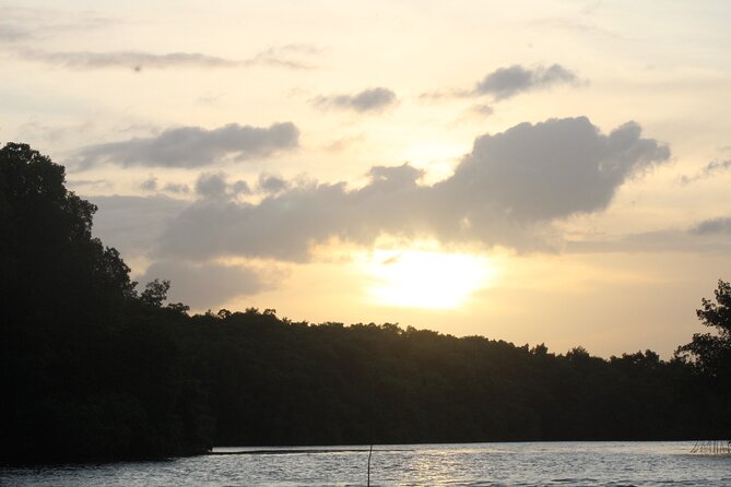 Caroni Bird Sanctuary Tour - Who Will Enjoy This Tour Most