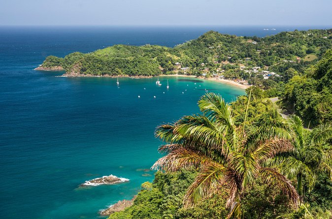 Castara Bay Day Trip with Lunch - Who will enjoy this outing most