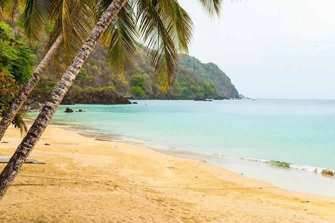 Castara Bay Day Trip with Lunch - Useful planning advice for your beach time