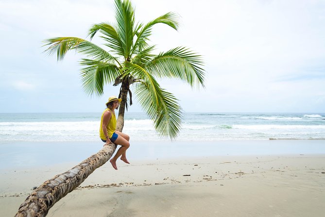 Coastal Tour of Trinidad - Key points to know before booking