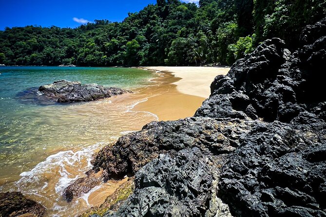 Coastline Snorkel and BBQ - Key points before you book