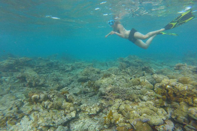 Coastline Snorkel and BBQ - Who will enjoy this Tobago outing?