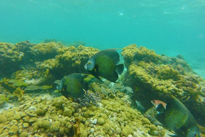 Coastline Snorkel and BBQ - Starting with fishing and sightseeing