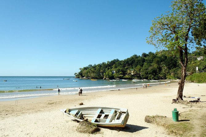 Day Trip to Las Cuevas Beach from Port of Spain - How the tour compares with a self-guided beach day