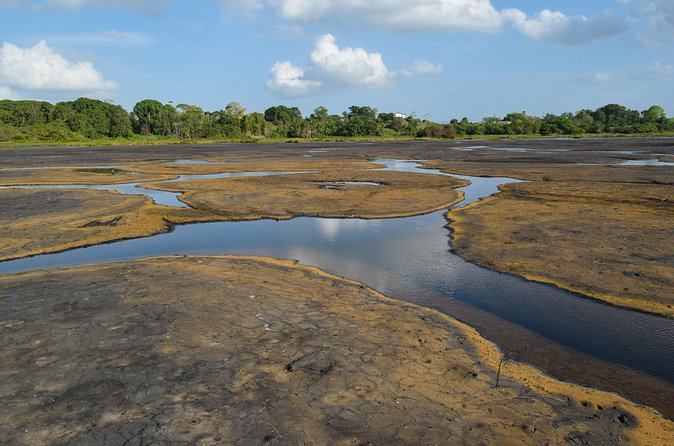 Down South Tour of Trinidad - Is $118 a Fair Price?