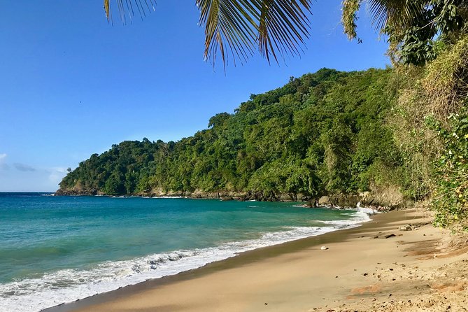 Englishman's Bay Day Trip with Lunch - Why Englishman’s Bay makes a strong half-day choice