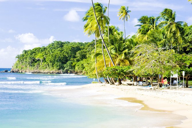 Englishman's Bay Day Trip with Lunch - Lunch adds useful value to the $185 price