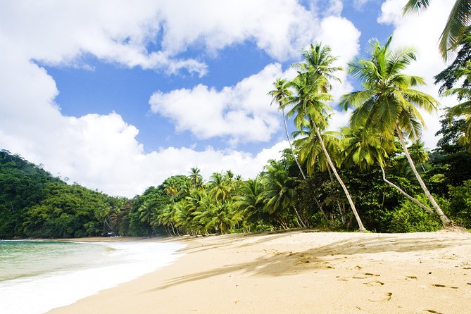 Englishman's Bay Day Trip with Lunch - The guide can shape the whole day