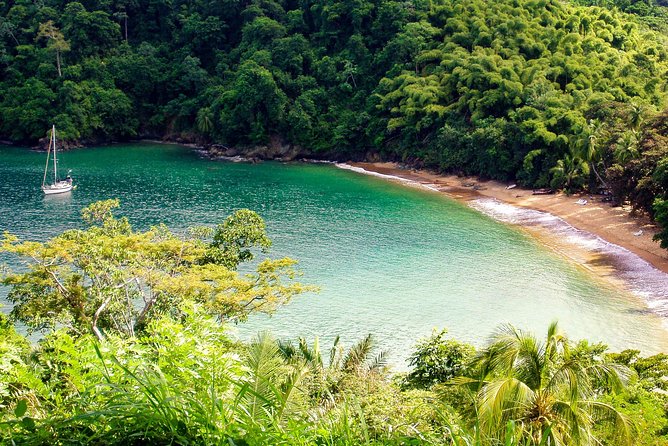Englishman's Bay Day Trip with Lunch - Who will get the most from this outing?