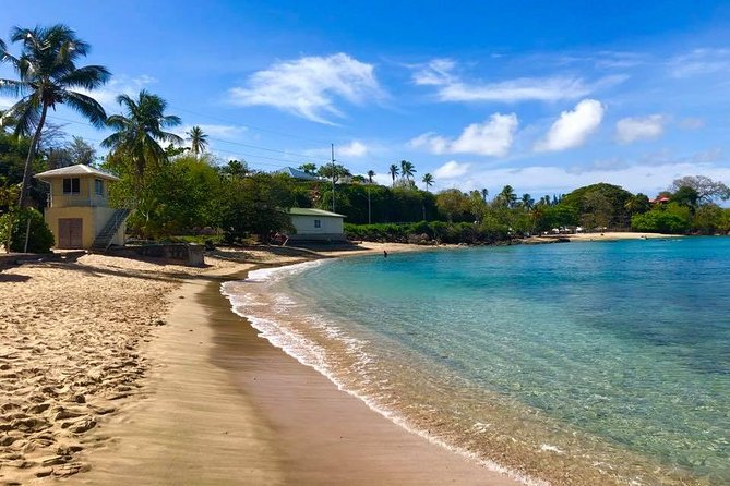 Englishman's Bay Day Trip with Lunch - Swimming and snorkeling without pressure