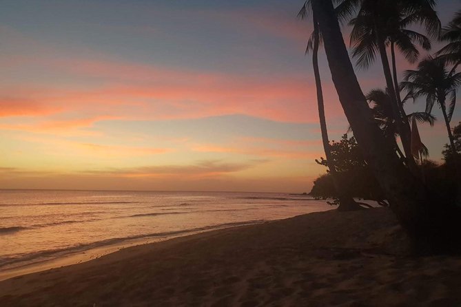 Full Island Tour (Including Lunch & Snorkeling) - Charlotteville is the day’s main event