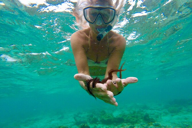 Glass Bottom Nylon Pool Tour in Buccoo Reef - Nylon Pool and the pleasure of a shallow swim