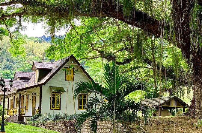 Half-day 3-Course Cocoa Lunch Tour in Trinidad - Timing, comfort, and small planning tips