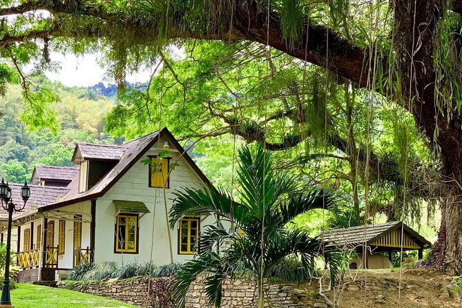 Half-day 3-Course Cocoa Lunch Tour in Trinidad - A short stop at the Lopinot Historical Complex