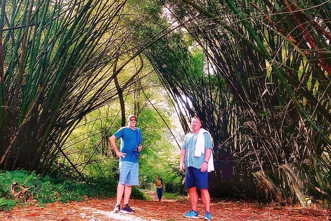 Half Day Group Tour to Tobago Atlantic Coast - How the schedule affects your day