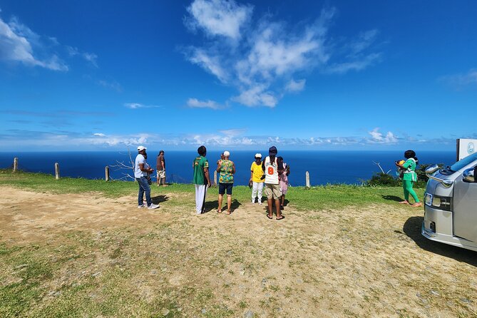 Half Day Tobago Tours with Transfers - Castara Bay brings you down to the beach