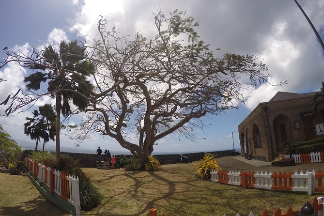 Highlights of Tobago Tour - Scarborough Botanic Garden offers a short tropical pause