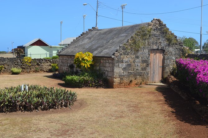 Highlights of Tobago Tour - Hotel pickup is handy, but port pickup needs care